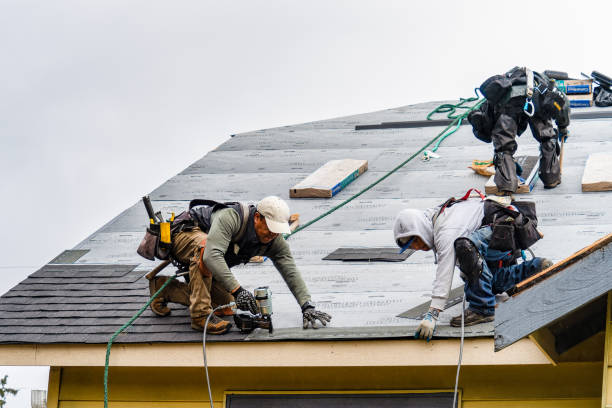 Professional Flat Roof Repair technician working in Glenfield, ND